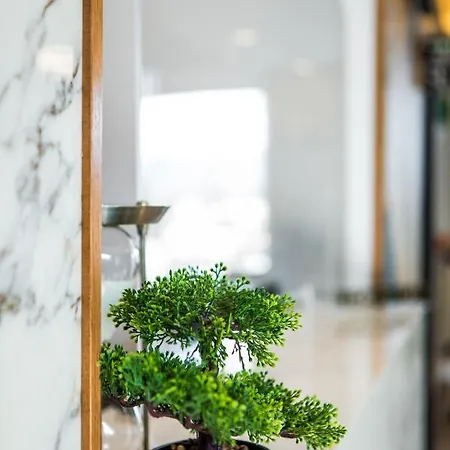 酒店 Bonsai 4*