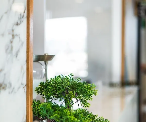 Отель Bonsai 4*