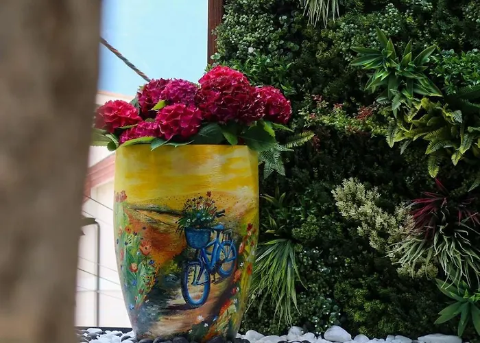 Bonsai Mjull-Bathore